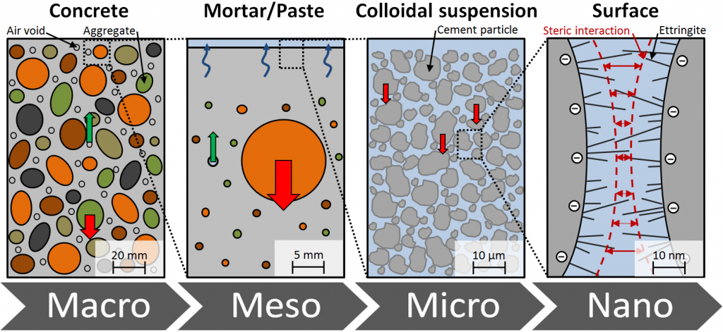 Multiscale and multiphase approach of fresh concrete