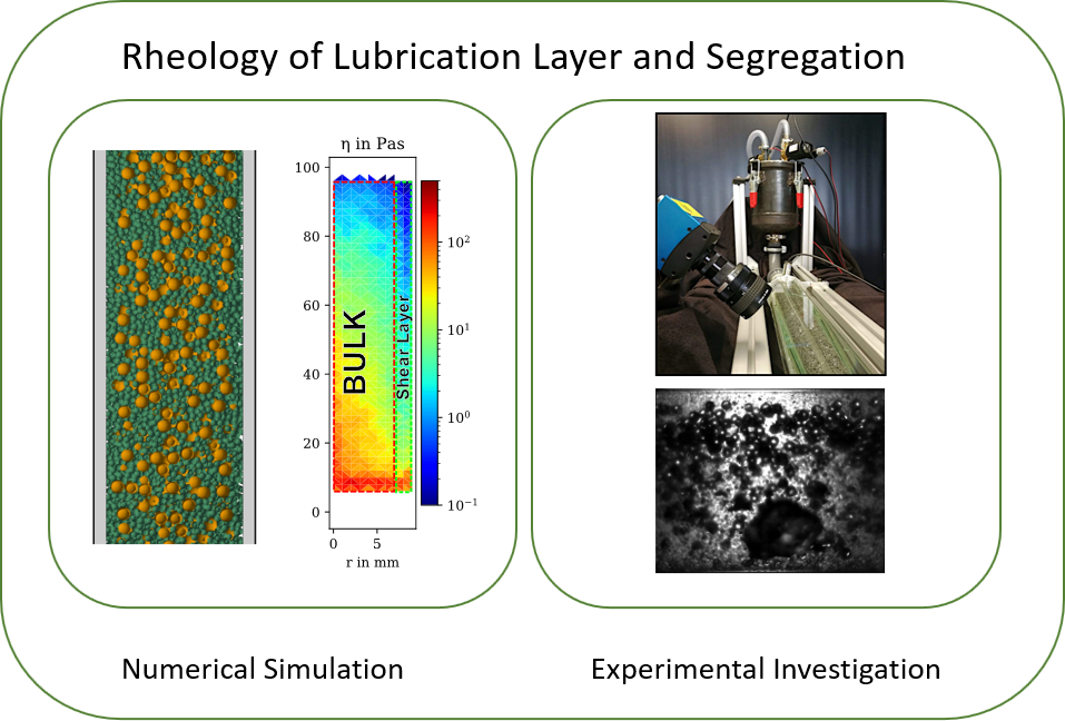 The investigation of migration mechanisms and rheology of the lubrication layer by numerical and experimental methods.